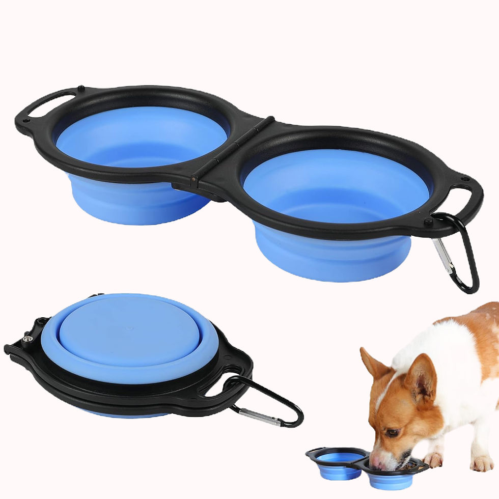 Collapsible Dog Bowls, Portable Travel Pet Feeder Bowl
