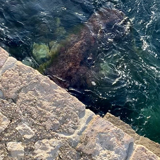 femme solitaote : Indépendance et Confiance en Soi : Une femme solitaire se distingue par sa capacité à prendre des décisions éclairées, à s’adapter aux situations et à faire face aux défis avec assurance. Elle se fie à son propre jugement et suit ses valeurs et ses objectifs personnels.