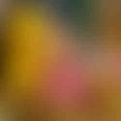 le petit souk marseillle