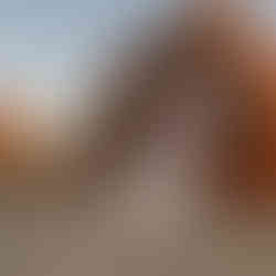 pouvoir cathartique et libérateur : SWAG studio danse marseille