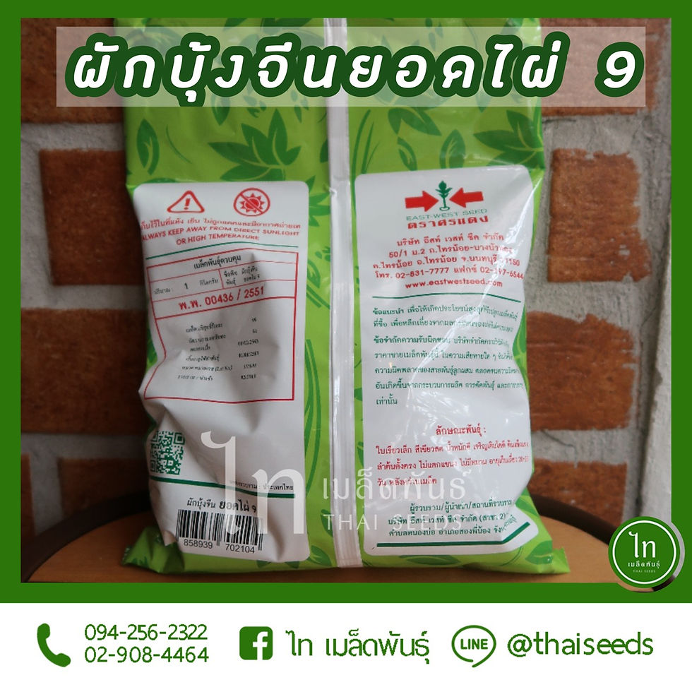 Thumbnail: ผักบุ้งจีน ยอดไผ่ 9 : 1 กิโลกรัม