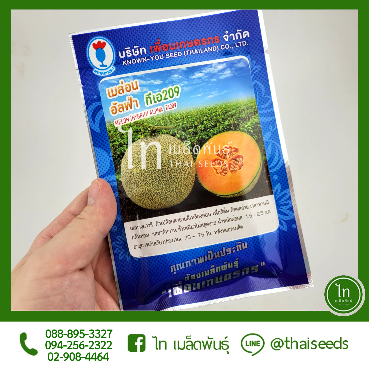 เมล่อน อัลฟ่า ทีเอ 209 : 20 กรัม