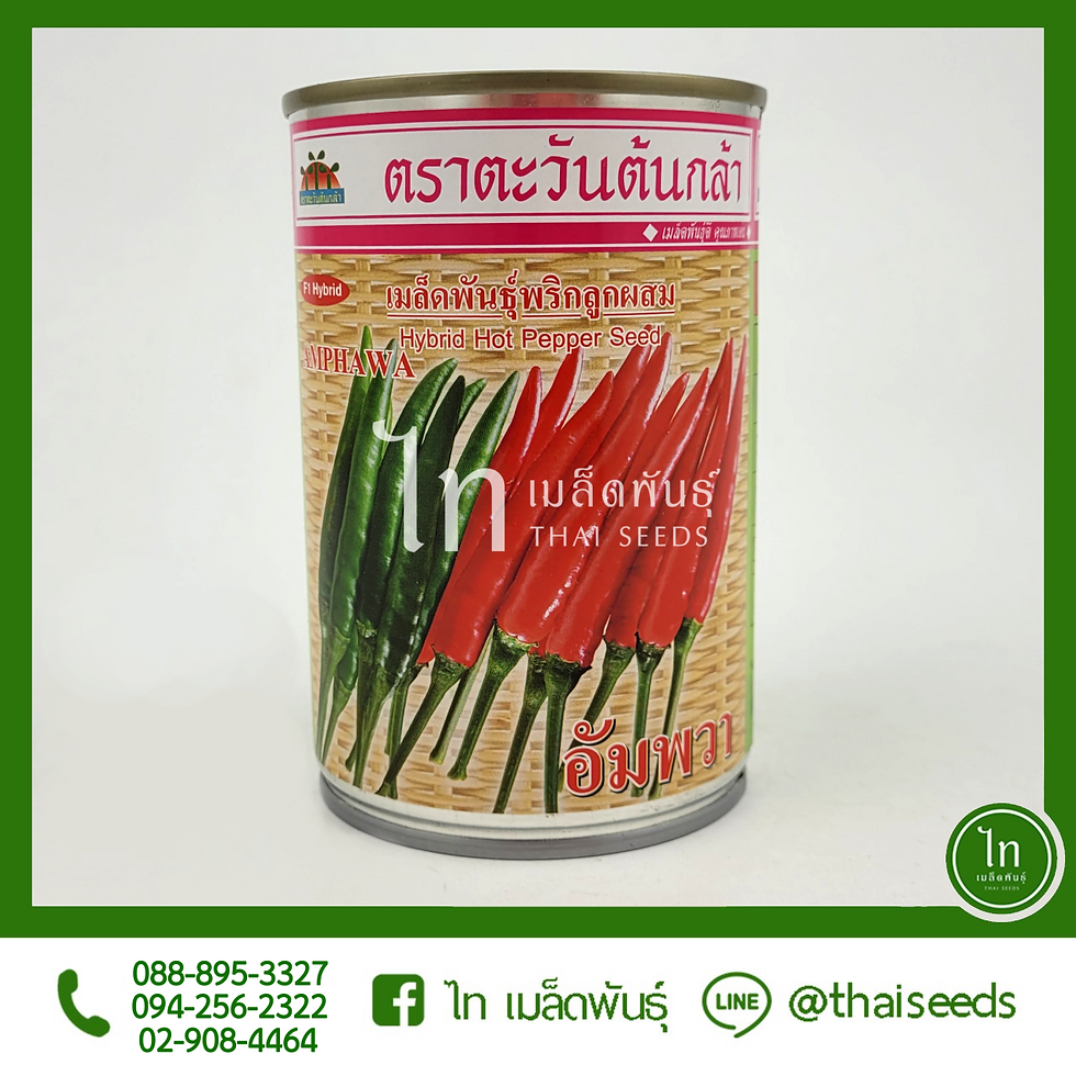 Thumbnail: พริกขี้หนู อัมพวา : 50/20 กรัม