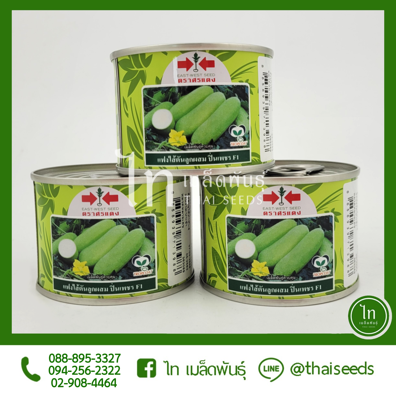 แฟง ปิ่นเพชร : 1000 เมล็ด