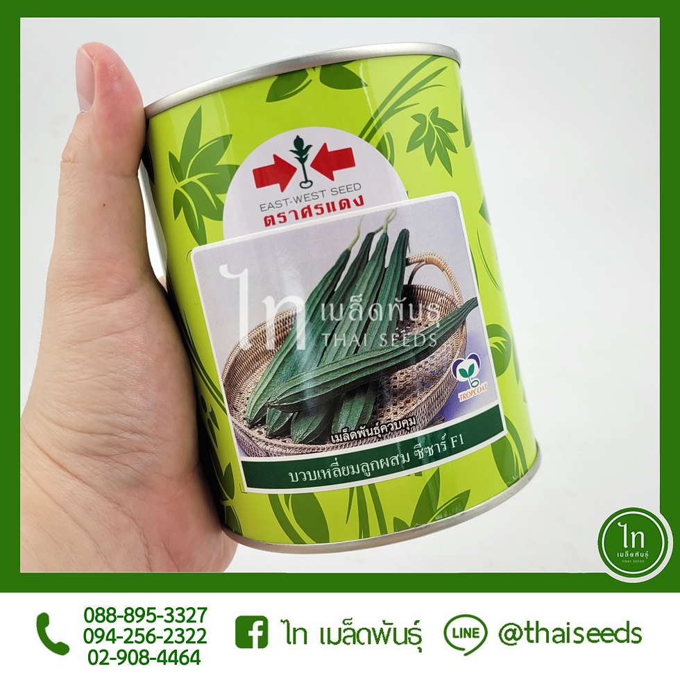 Thumbnail: บวบเหลี่ยม ซีซาร์ : 250 / 50 กรัม