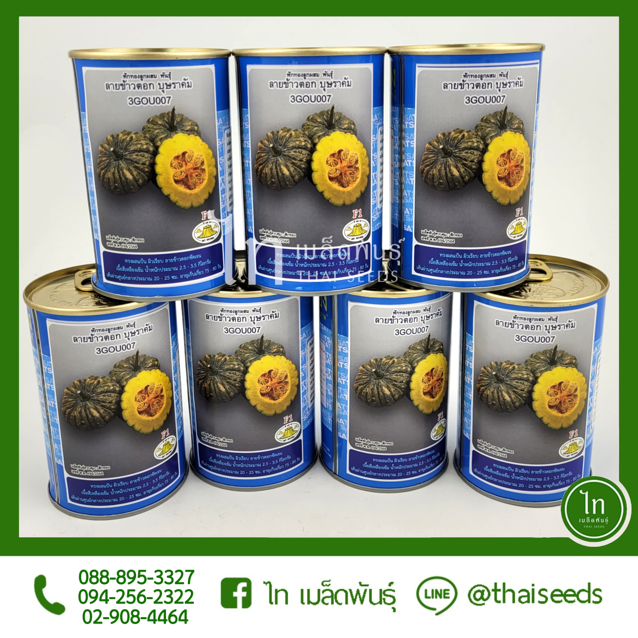 ฟักทอง ลายข้าวตอก บุษราคัม : 100 กรัม