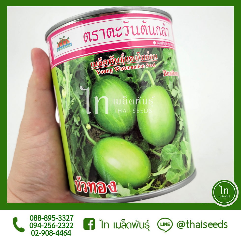 แตงโมอ่อน