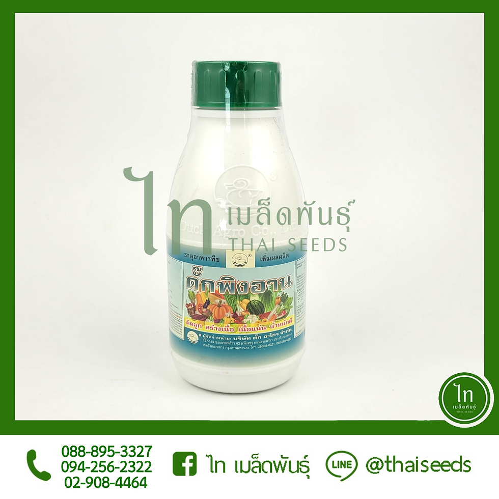Thumbnail: ดั๊กพิงอาน : 1000 / 500 / 250 ซีซี