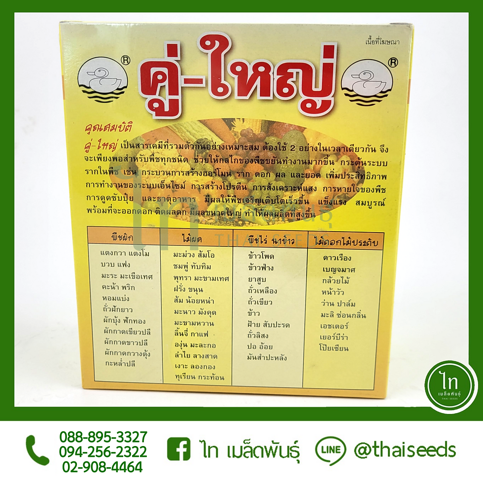 Thumbnail: คู่ใหญ่ : 500 ซีซี