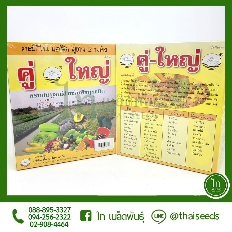 คู่ใหญ่ : 500 ซีซี