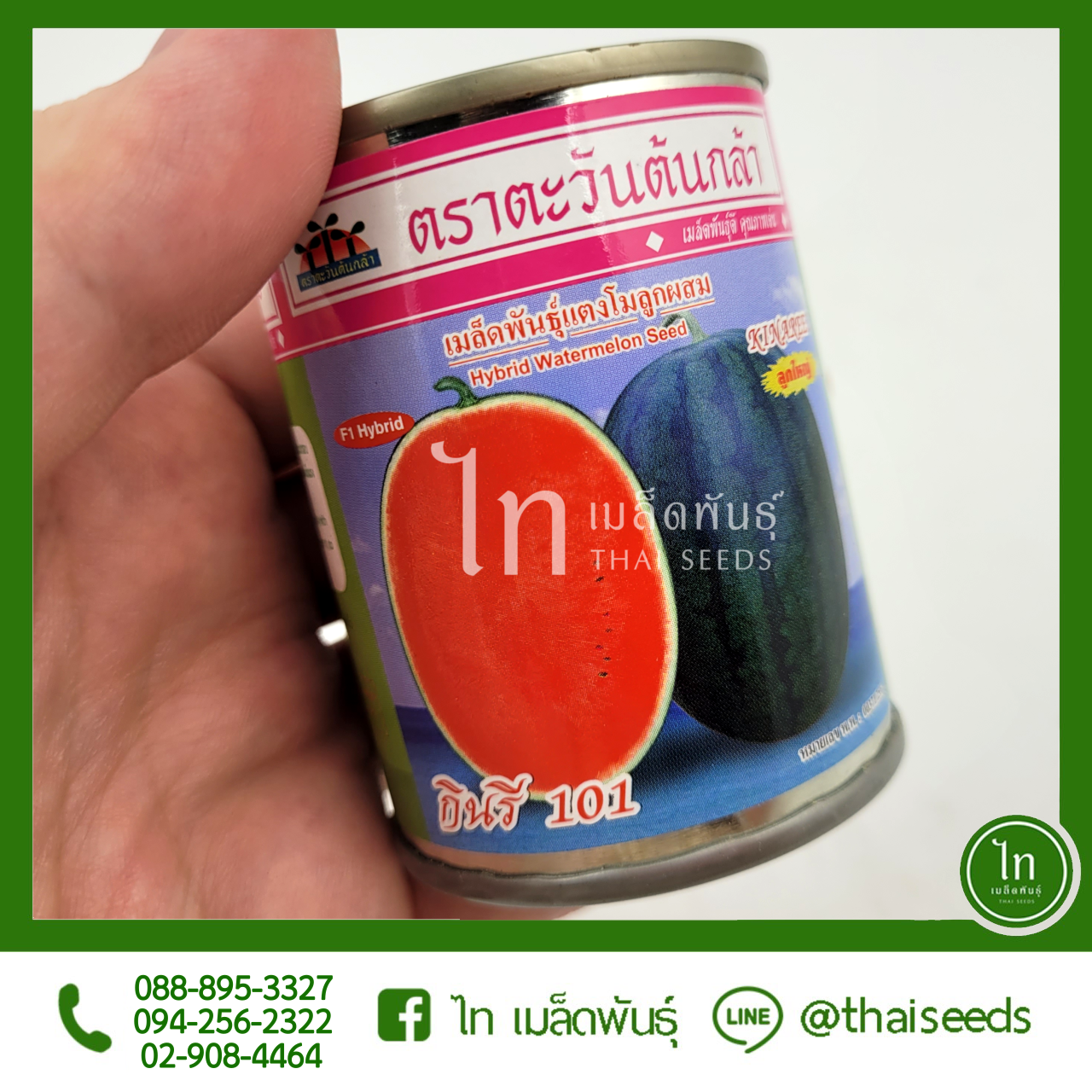 แตงโม กินรี 101 : 40 กรัม