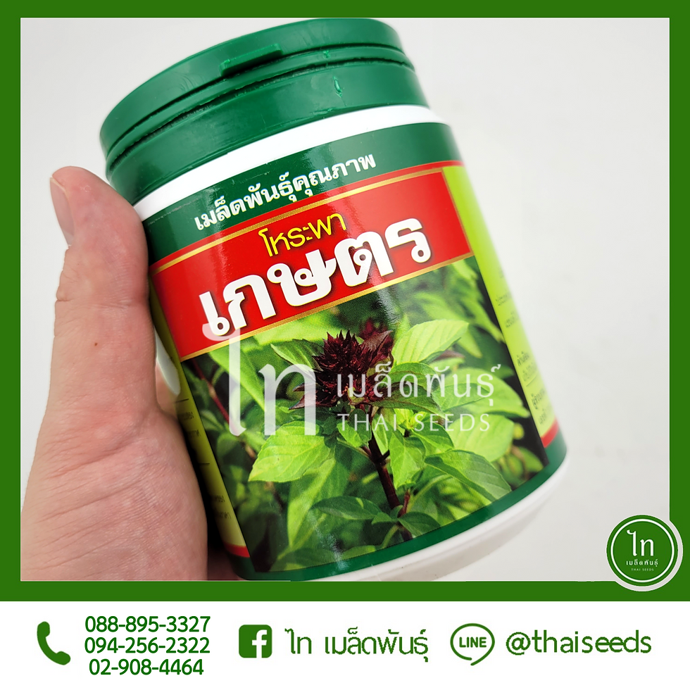 โหระพา