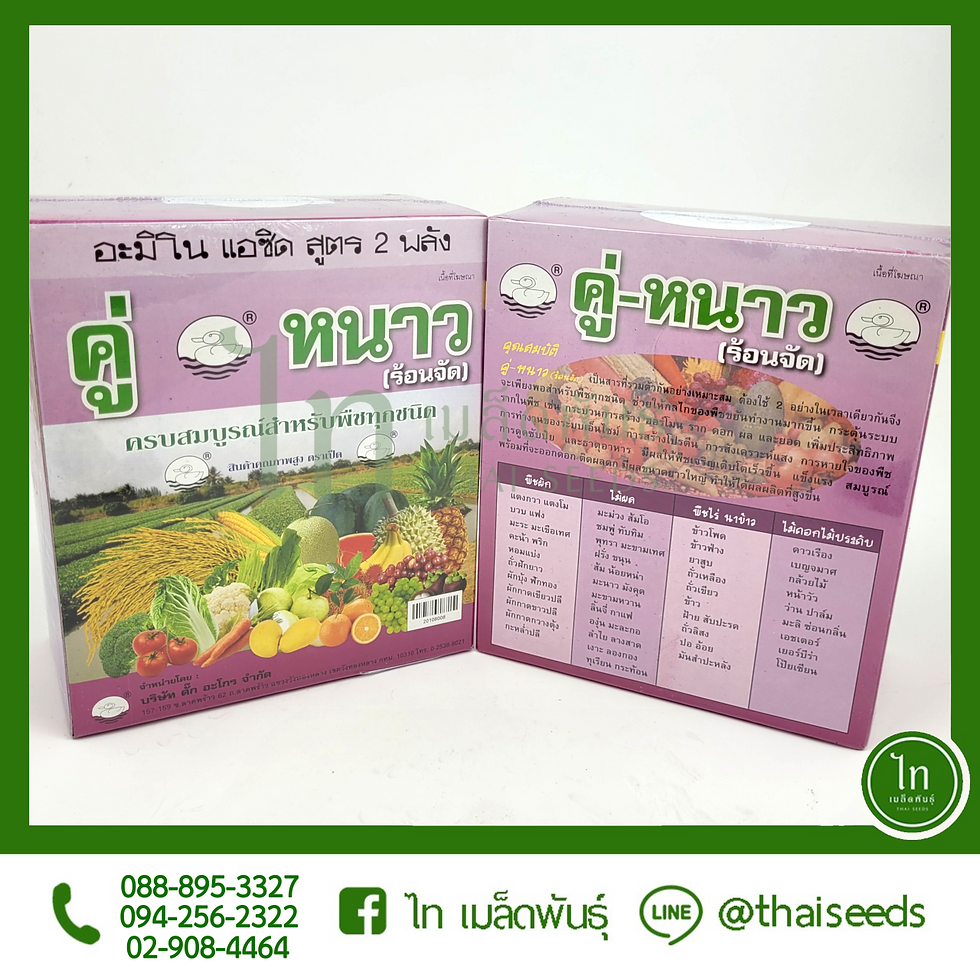 คู่หนาว(ร้อนจัด) : 500 ซีซี