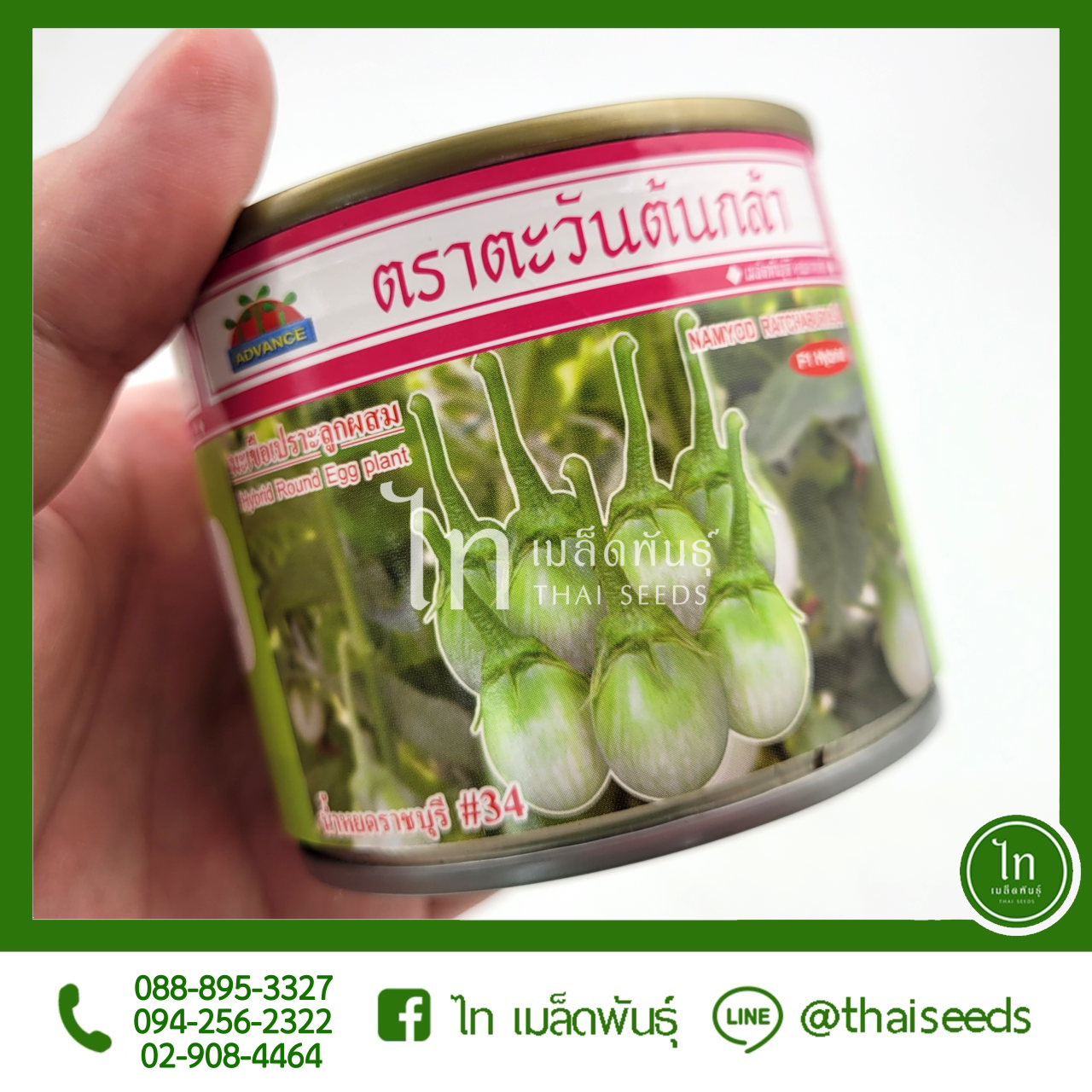 มะเขือเปราะ น้ำหยดราชบุรี #34 : 20 กรัม