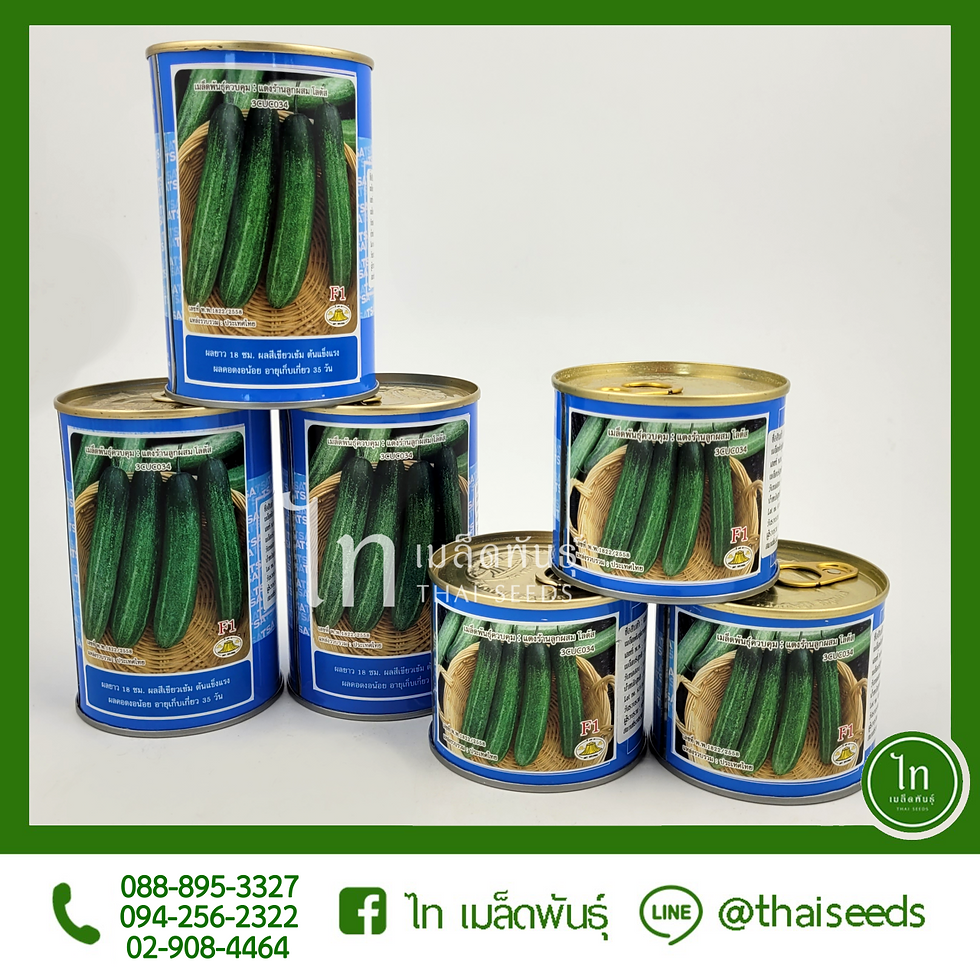 แตงร้าน โลตัส : 100/50 กรัม