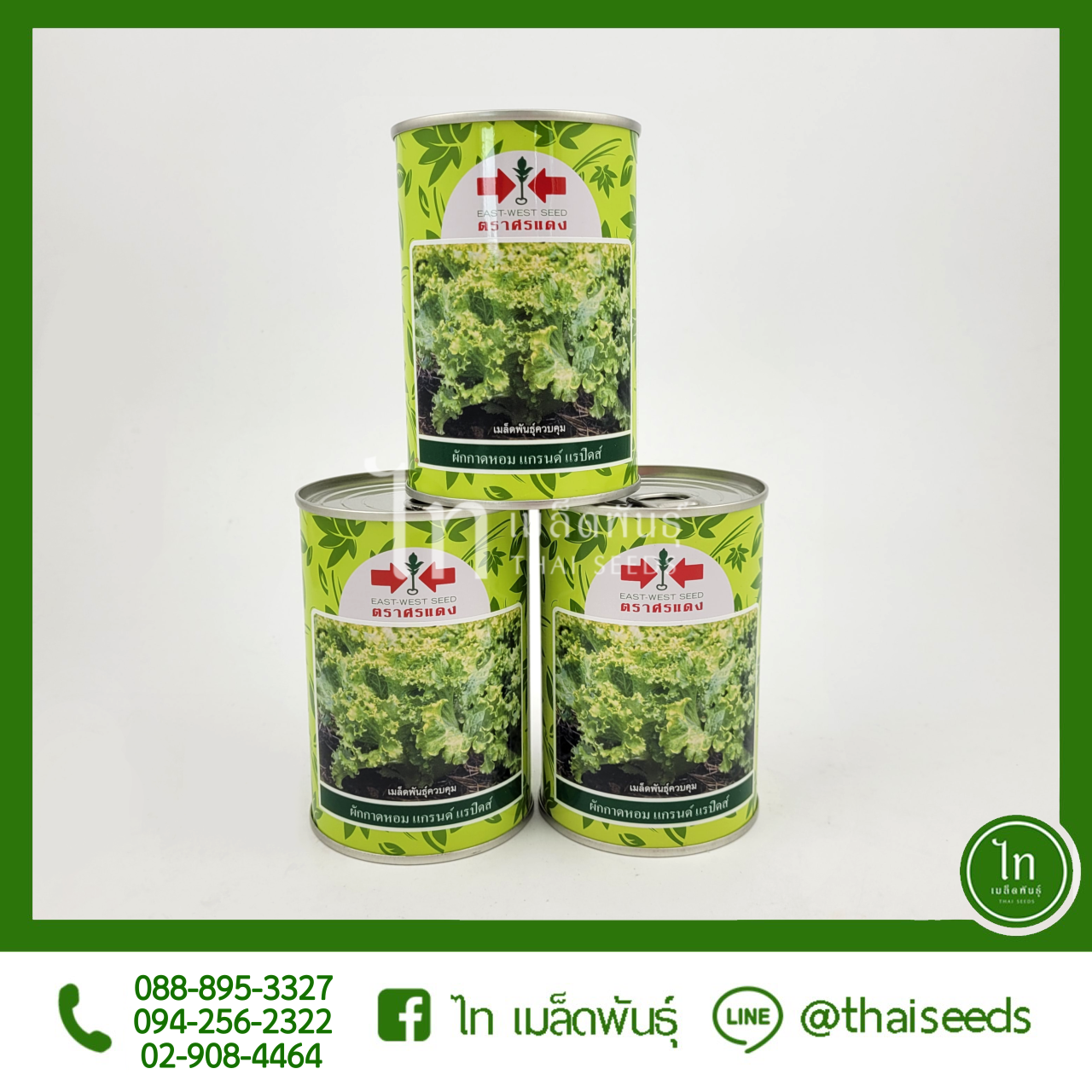 ผักกาดหอม แกรนด์ แรปิดส์ : 300 / 50 กรัม