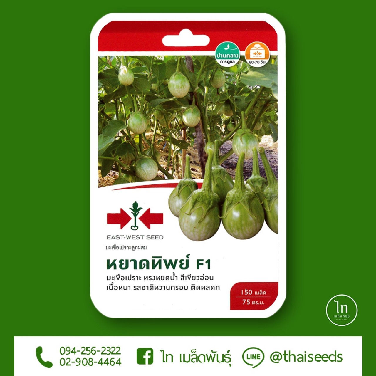 มะเขือเปราะ หยาดทิพย์ F1 : 150 เมล็ด