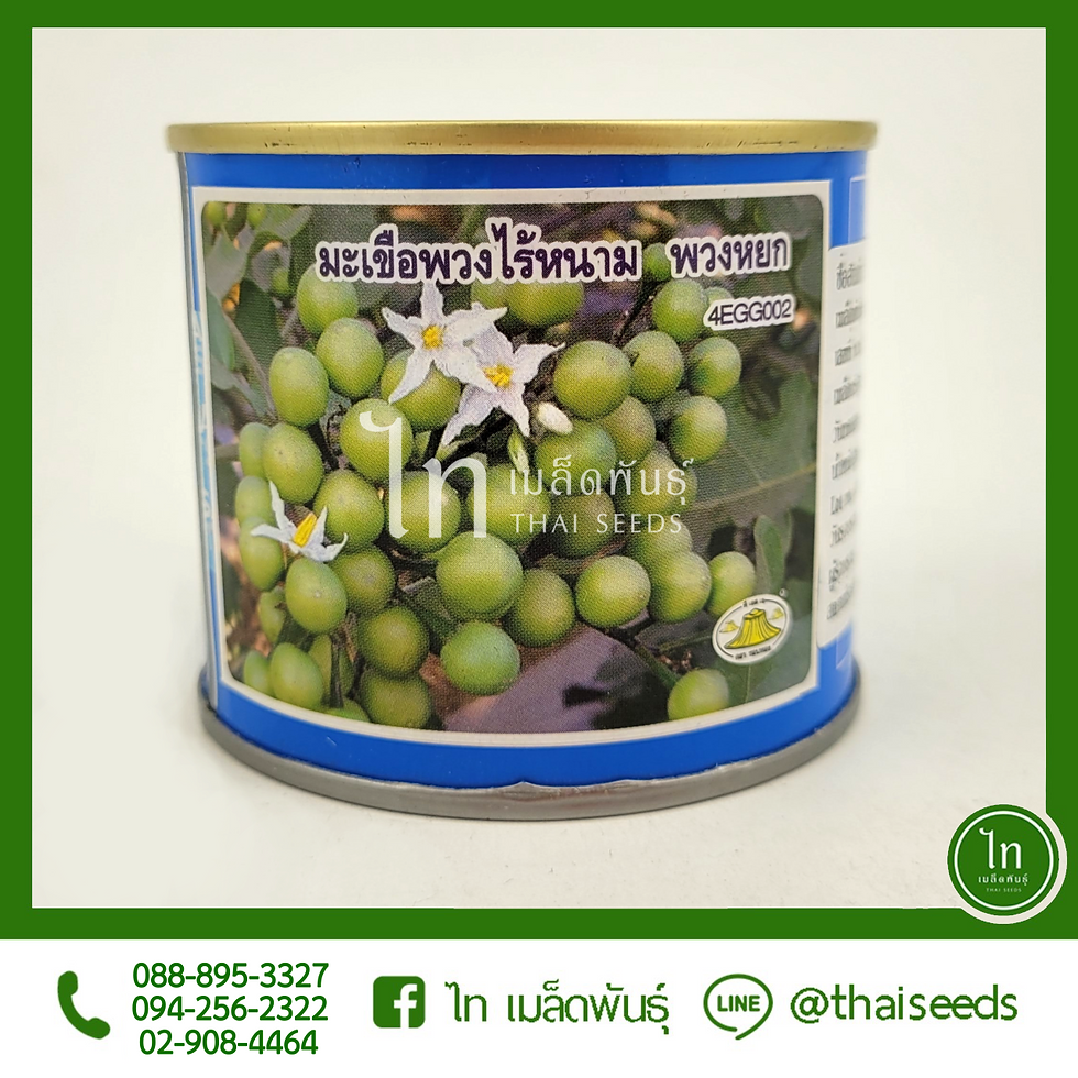 มะเขือพวง