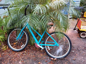 Teri blue bicyle.jpeg