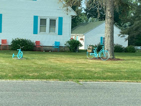 Bicycle and Trike.jpeg