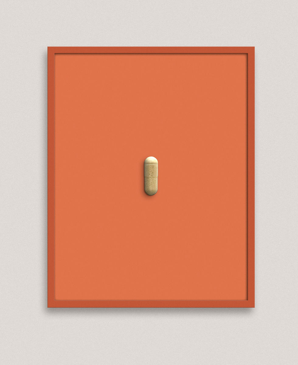 Miniaturbild: digest enzyme plus