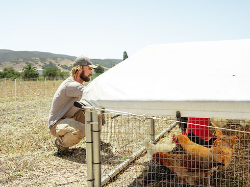 Shane and Chickens.jpg