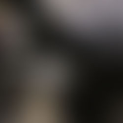 Kettelmen's Bagel Shop Bathroom - Glebe, Ottawa