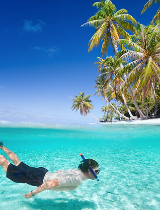 Untitled design (22).png