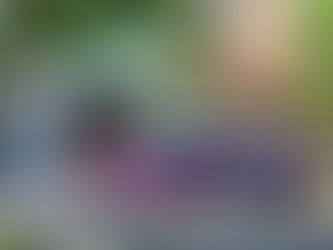 Jaguar XF ColorFlow wrap