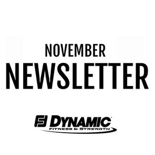 NOVEMBER NEWSLETTER | 2024
