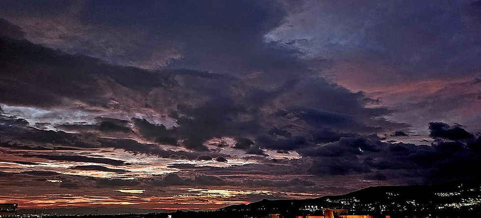 La lección - Patricia de la Rosa Urraza