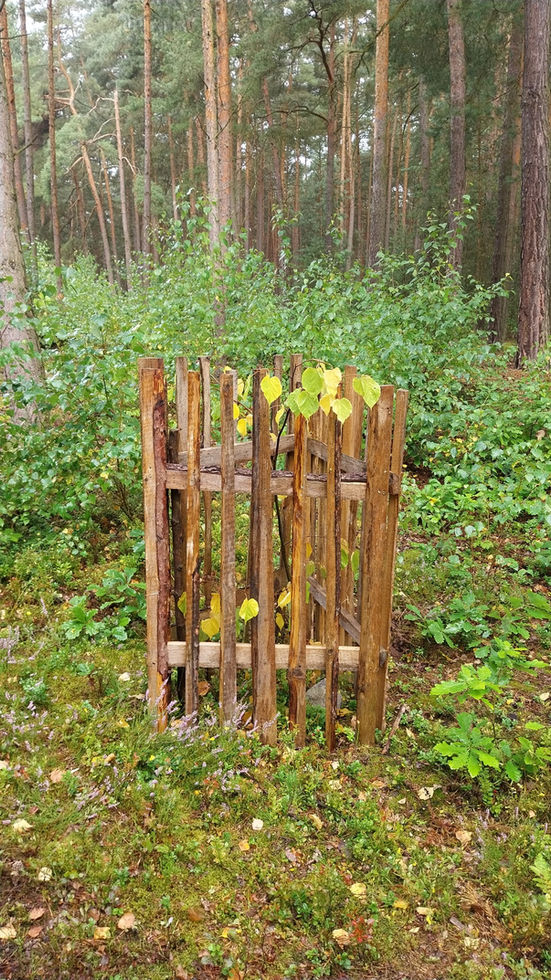 hotová dřevěná opora pro strom
