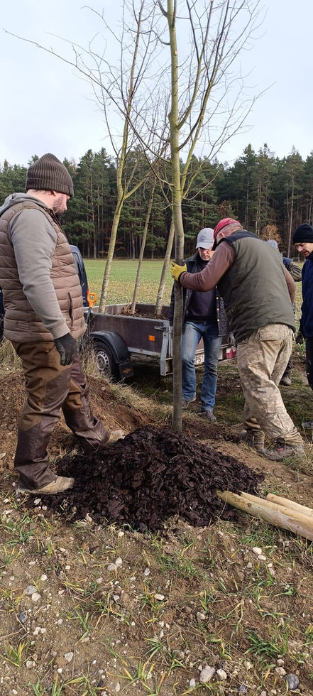 členové ekospolku sázející strom