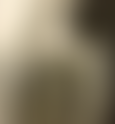 18 anos depois alcançamos o Tarzan