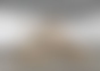 Artist of the Day | Bharti Kher