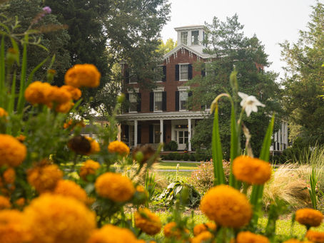Brampton Inn