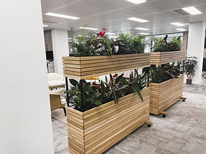 Orangebox Woods Mobile Planter Dividers