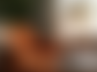 Navigating Career Transitions: Expert GAP Year Advising Services