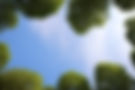 1R5A8333.JPG