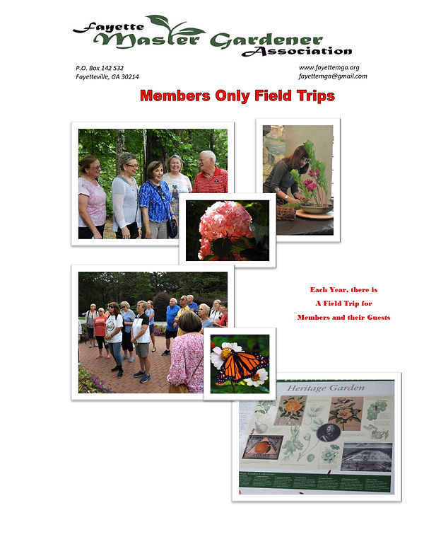 fmga 2020 pub package 5.jpg