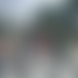 Einweihung unseres neuen Zebrastreifens und ein riesiges Dankeschön :-)