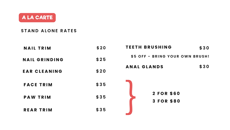 Dog Groomer Etobicoke