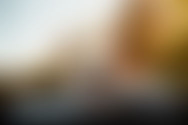 Super Cool Dog Facts Fur Parents Ought to Know