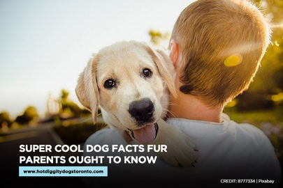 Super Cool Dog Facts Fur Parents Ought to Know