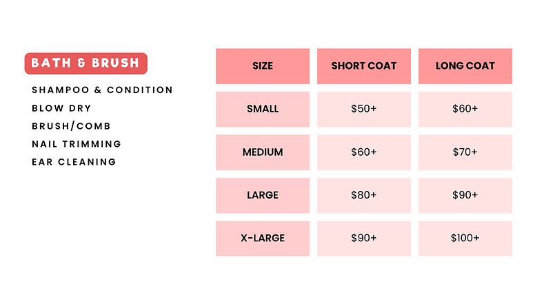 Dog Groomer Etobicoke