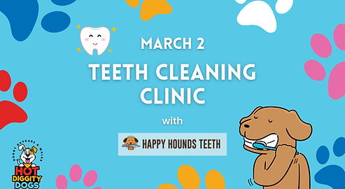 HAPPY HOUNDS (Website).png