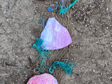 Beach Walks