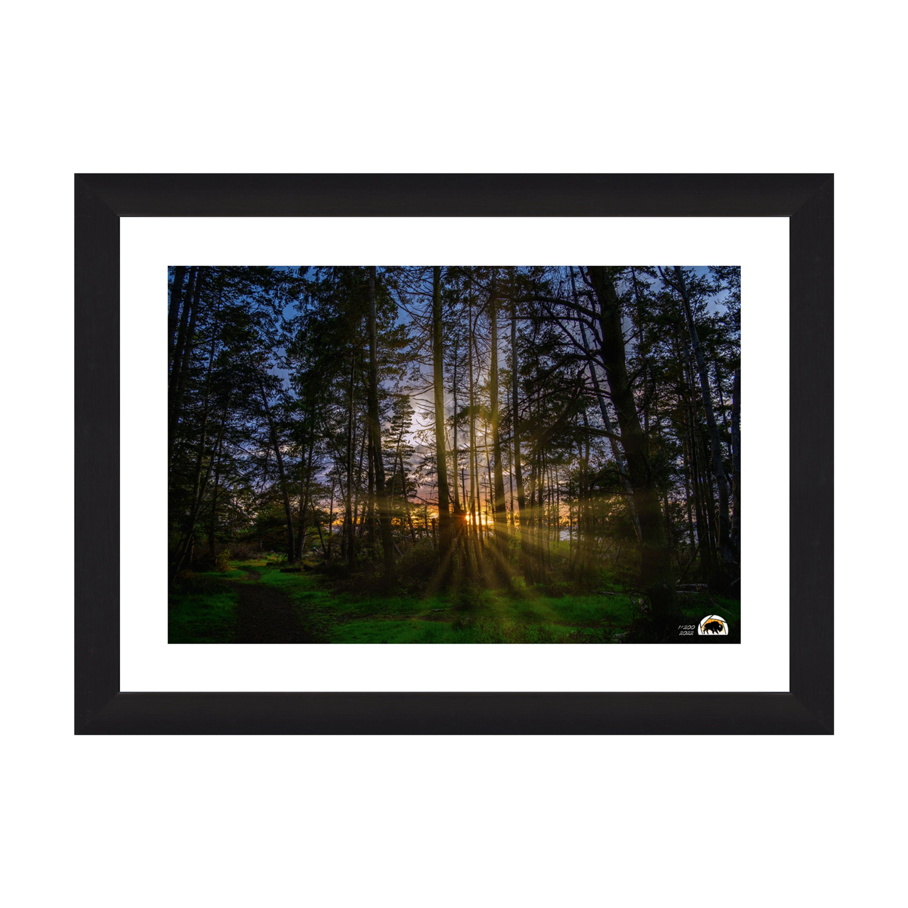 Marrowstone Sunset Framed Artwork