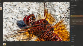 How To's: Enhancing Your Photo Using Luminar Neo Supersharp AI