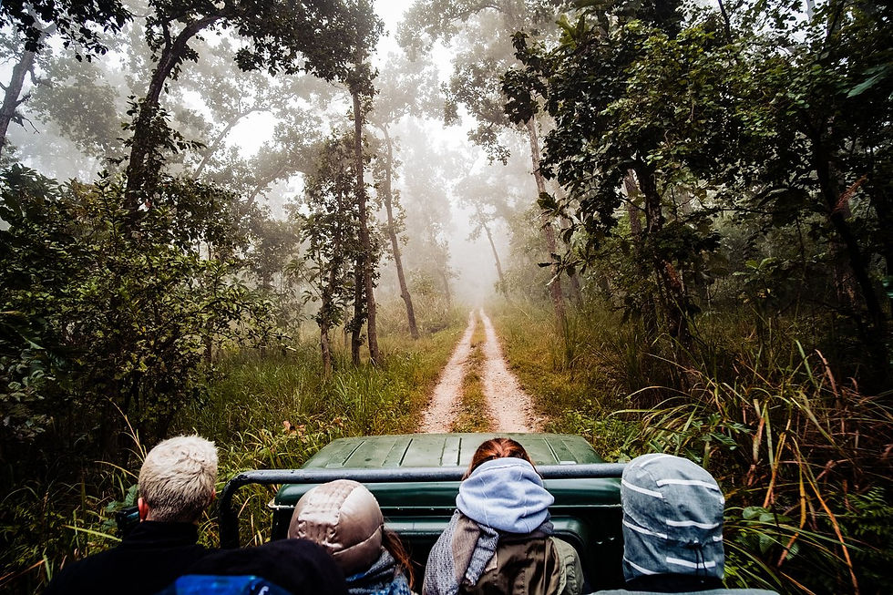 Safari
